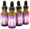 Archangel & Ascended Master Essences Archangel & Ascended Master Essences