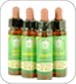 Bach Flower Remedies Bach Flower Remedies