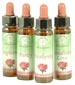 Rose Essences
