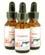 Bach Remedy Sets