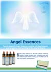 Angel Display Poster