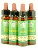 Bach Flower Remedies
