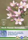 Bach Display Poster