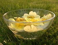 Our Essences are Handmade with Love and Care Making Essences