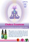 Chakra Display Poster