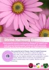 Divine Harmony Display Poster