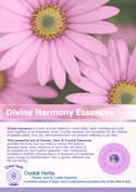 Divine Harmony Leaflet