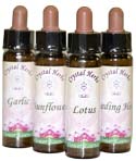 Flower Essences Flower Essences