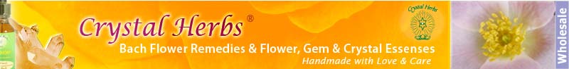 Wholesale Essences