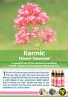 Karmic Display Poster