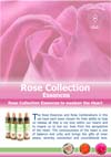Rose Display Leaflet