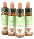 Rose Collection Essences Rose Collection Essences