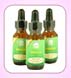 Bach Flower Remedies
