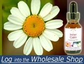 Wholesale Shop