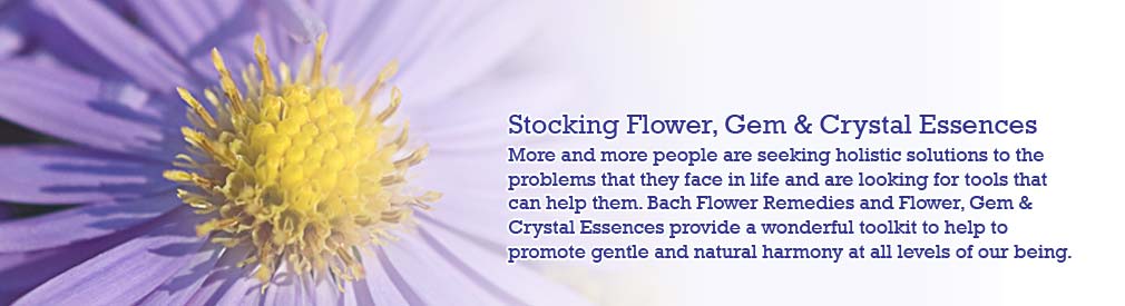 Stocking Essences